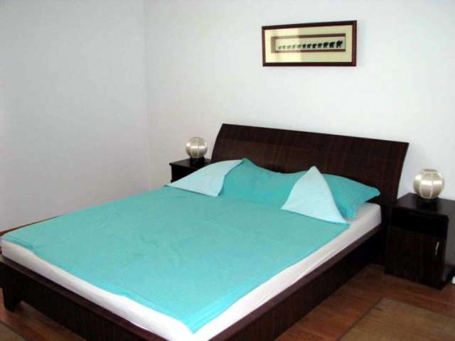 foto Vila Alina 4* Predeal